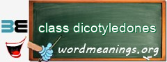 WordMeaning blackboard for class dicotyledones